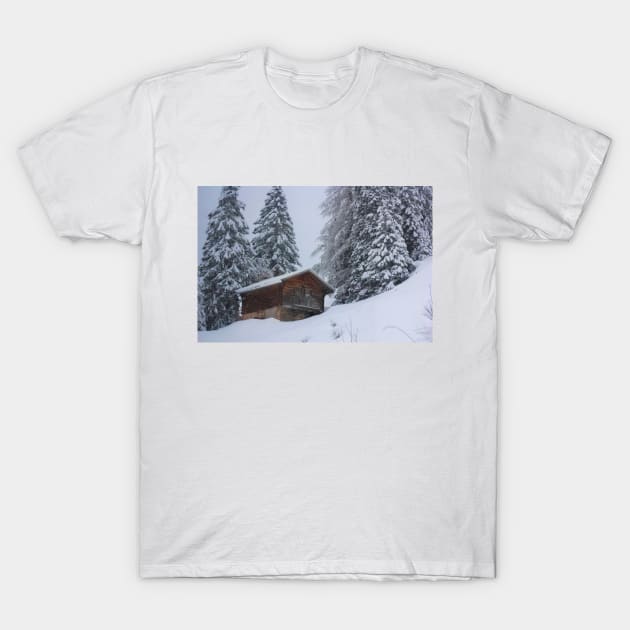 Snowy Landscape with Cabin T-Shirt by econaki